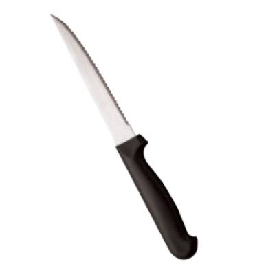 Coltello Rost Carne e Pizza Confezione Pz 12